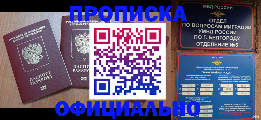 найти адрес прописки в Железногорске